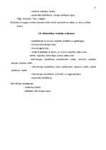 Biznesa plāns 'Biznesa plāns atpūtas kompleksam', 17.