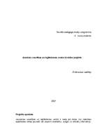 Konspekts 'Jauniešu veselības un izglītošanas centra izveides projekts', 1.