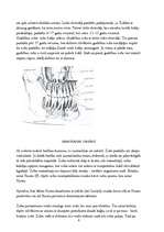 Referāts 'Mutes dobums', 6.