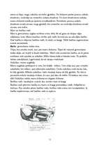 Referāts 'Mutes dobums', 11.