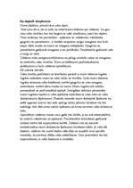 Referāts 'Mutes dobums', 20.