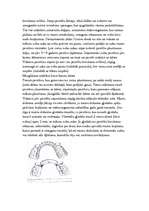 Referāts 'Mutes dobums', 23.