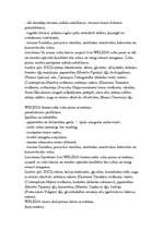 Referāts 'Mutes dobums', 31.