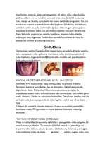 Referāts 'Mutes dobums', 39.