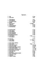 Referāts 'Mutes dobums', 43.