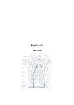 Referāts 'Mutes dobums', 48.