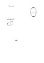 Referāts 'Mutes dobums', 49.