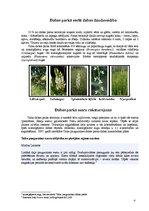 Referāts 'Talsu pauguraines dabas parks', 6.