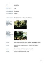 Referāts 'Talsu pauguraines dabas parks', 18.