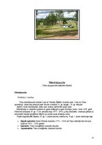 Referāts 'Talsu pauguraines dabas parks', 20.