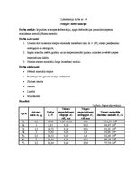 Paraugs 'Stiepes deformācija', 1.