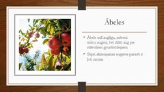 Prezentācija 'Augļu koku izvēle augļu dārza izvēlētajā zemes platībā', 2.