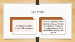 Prezentācija 'Augļu koku izvēle augļu dārza izvēlētajā zemes platībā', 6.