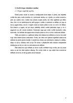 Referāts 'Mārketinga plāns', 4.