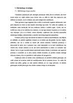 Referāts 'Mārketinga plāns', 8.