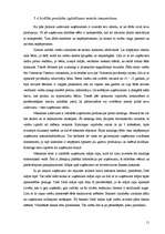 Referāts 'Mārketinga plāns', 11.