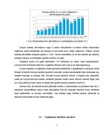 Referāts 'SIA "A" autoparka palielināšanas projekts', 7.