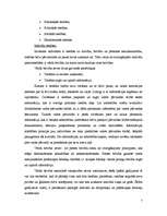 Referāts 'Tiesības', 7.