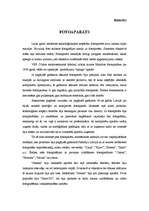 Referāts 'Fotoaparāts', 1.