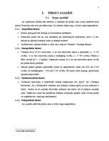 Biznesa plāns 'SIA "V-aptieka" biznesa plāns', 7.