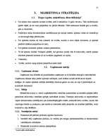 Biznesa plāns 'SIA "V-aptieka" biznesa plāns', 12.