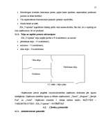 Biznesa plāns 'SIA "V-aptieka" biznesa plāns', 17.