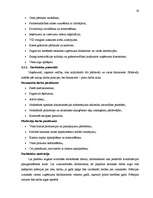 Biznesa plāns 'SIA "V-aptieka" biznesa plāns', 19.