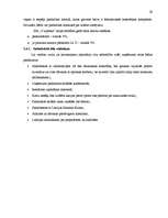 Biznesa plāns 'SIA "V-aptieka" biznesa plāns', 29.