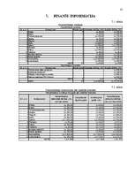 Biznesa plāns 'SIA "V-aptieka" biznesa plāns', 32.