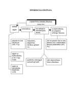 Konspekts 'Administratīvi procesuālās tiesības', 11.