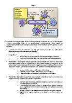 Konspekts 'Elpošana, asinis, imūnsistēma', 16.