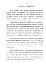 Prakses atskaite 'Pārvaldnieka prakses atskaite', 20.