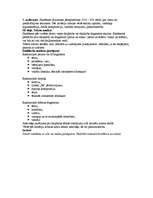 Konspekts 'Kas jāzina, kārtojot eksāmenu latviešu valodā 12.klasē', 2.