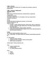 Konspekts 'Kas jāzina, kārtojot eksāmenu latviešu valodā 12.klasē', 3.