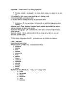 Konspekts 'Kas jāzina, kārtojot eksāmenu latviešu valodā 12.klasē', 9.