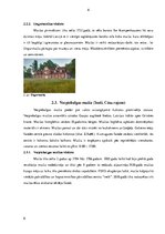 Referāts 'Muižu un piļu piemērošanas viesmīlības vajadzībām', 6.