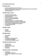 Konspekts 'Pašvaldību organizācija. Pašvaldību ekonomiskā attīstība', 1.