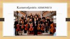 Prezentācija 'Kamerorķestris', 8.