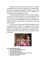 Konspekts 'Bērnu ballītes galda klājums', 6.