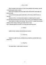 Referāts 'Acs optiskā sistēma - unikāls optiskais instruments', 4.