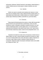 Referāts 'Acs optiskā sistēma - unikāls optiskais instruments', 15.