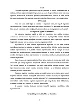 Referāts 'Vitamīnu un minirālvielu nozīme cilvēku organismā', 3.