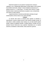 Referāts 'Vitamīnu un minirālvielu nozīme cilvēku organismā', 6.