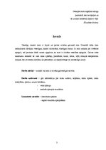 Referāts 'Galvas rota - skaisti mati', 1.