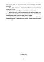 Referāts 'Galvas rota - skaisti mati', 3.