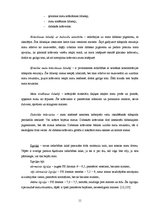 Referāts 'Galvas rota - skaisti mati', 9.