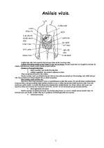 Konspekts 'Vēžu veidi', 5.