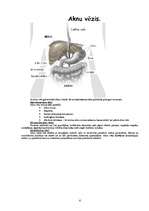 Konspekts 'Vēžu veidi', 6.