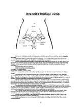 Konspekts 'Vēžu veidi', 8.