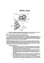 Konspekts 'Vēžu veidi', 10.